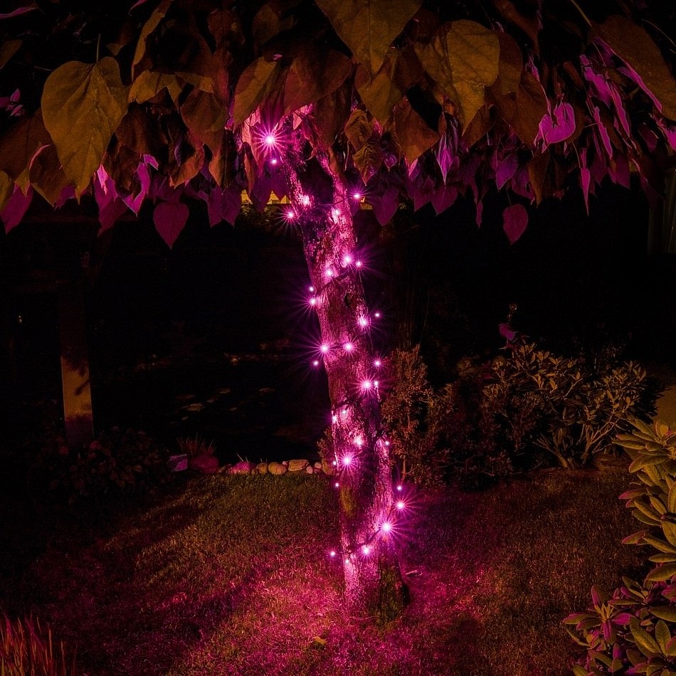 LED Beleuchtungskette - 5 m, rosa, 50 dioden